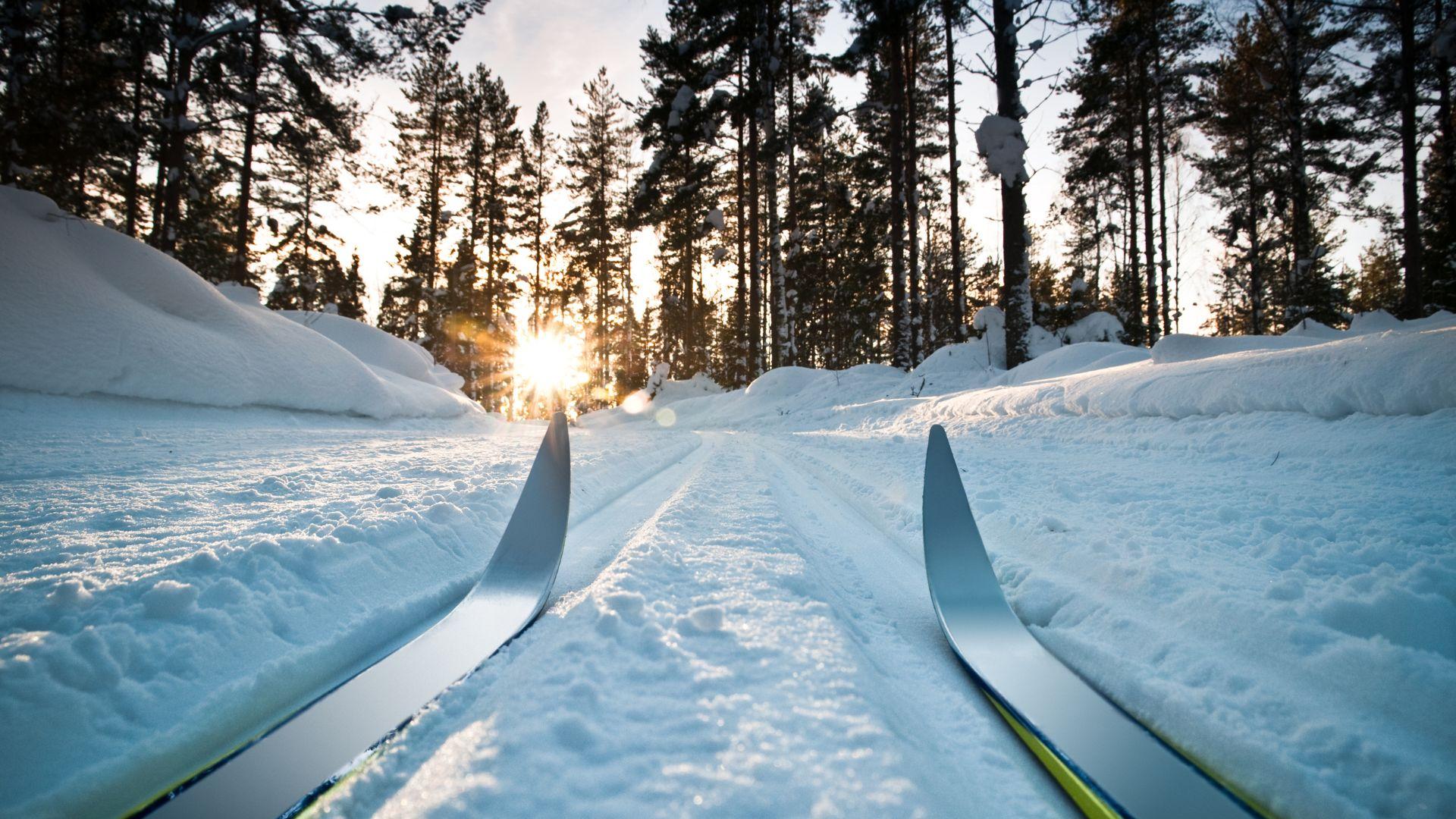 Cross Country Skis in a set track at dusk.