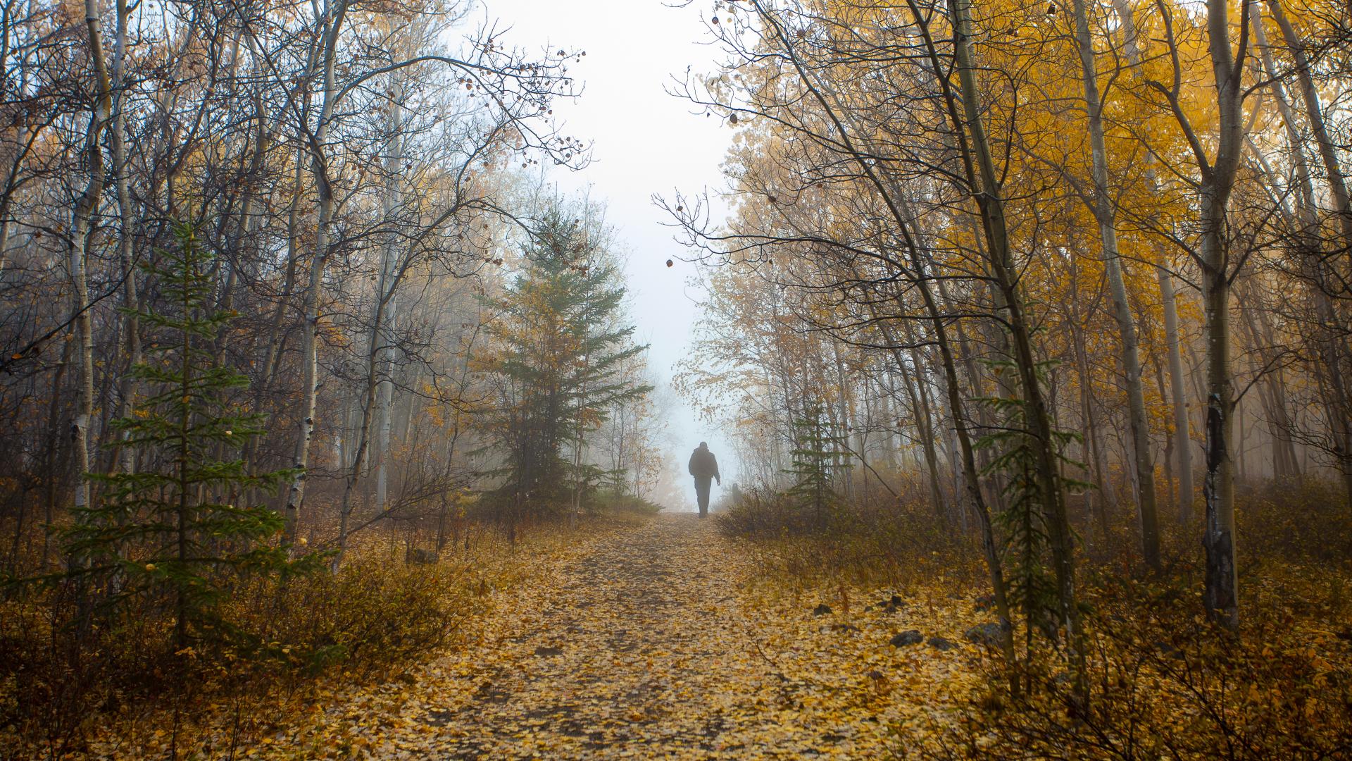 Autumn Fog at Tartan Rapids Sept 2012 - Bill Braden