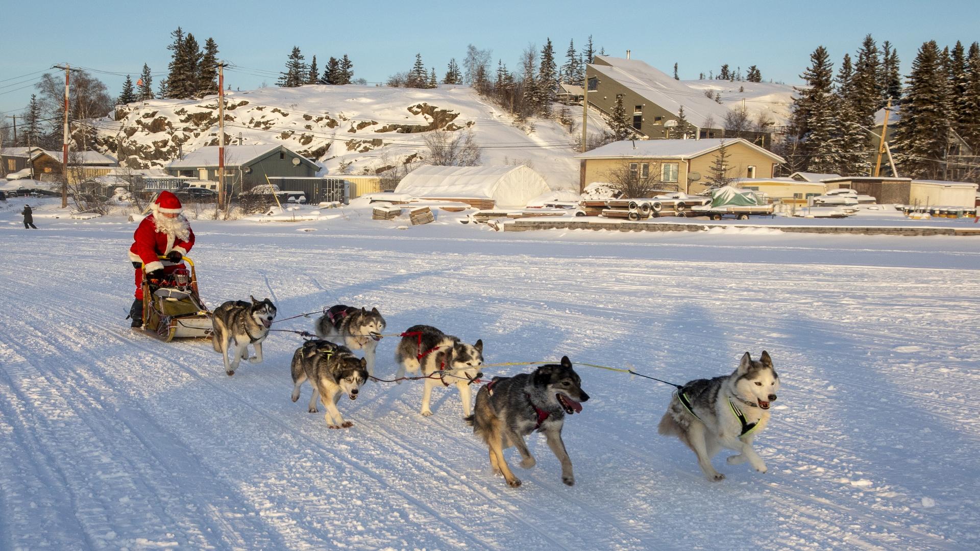 Santa by Dogsled - Bill Braden