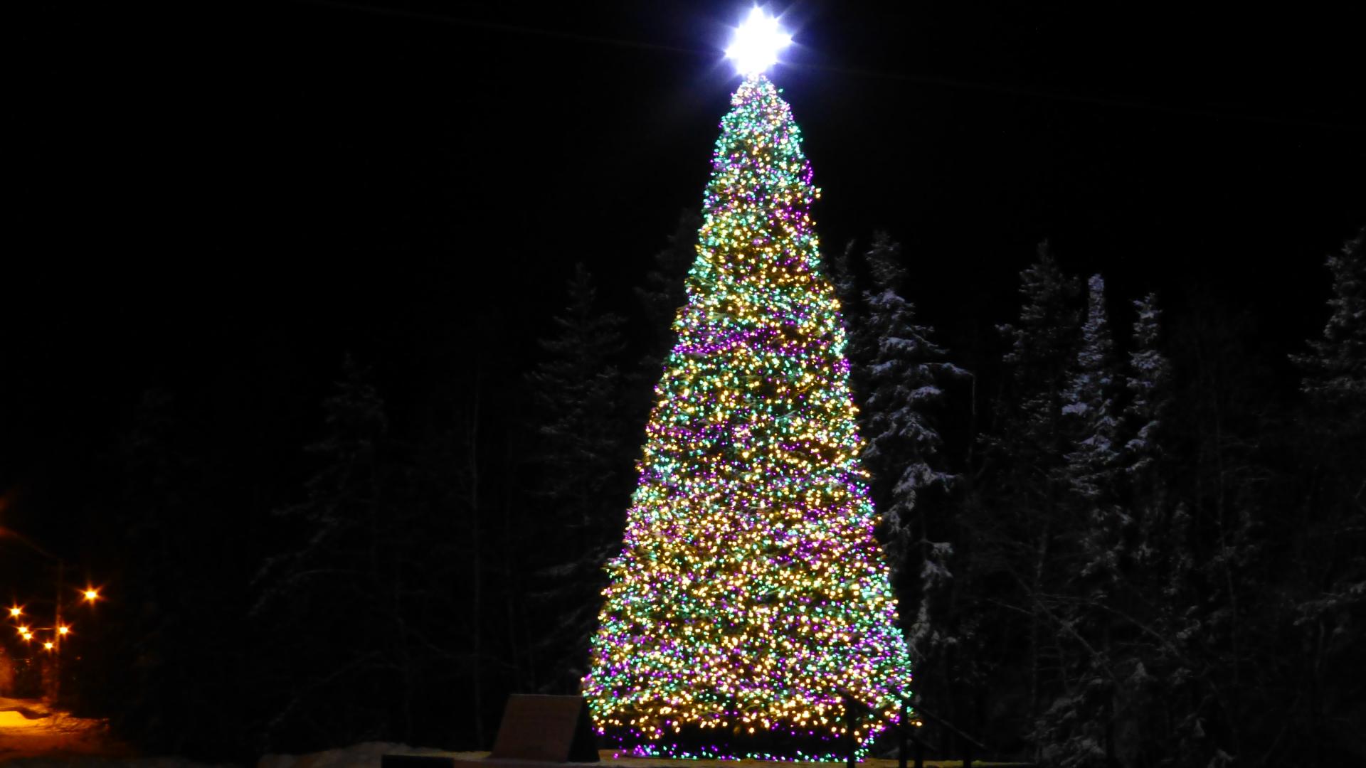 Telus Tree