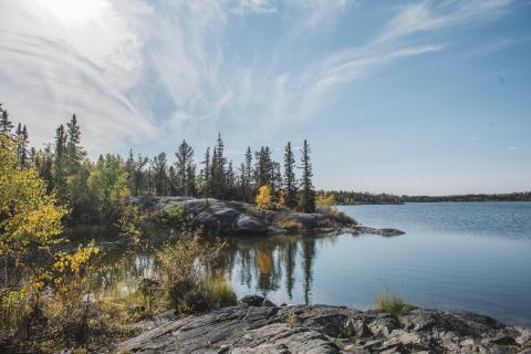 Summer, lake and trees