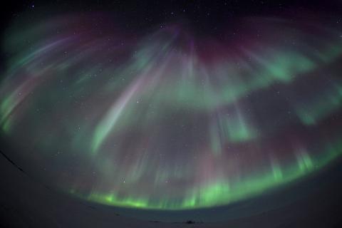 aurora