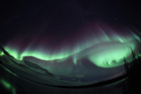 aurora