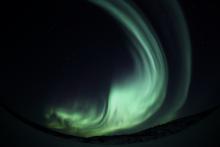 aurora